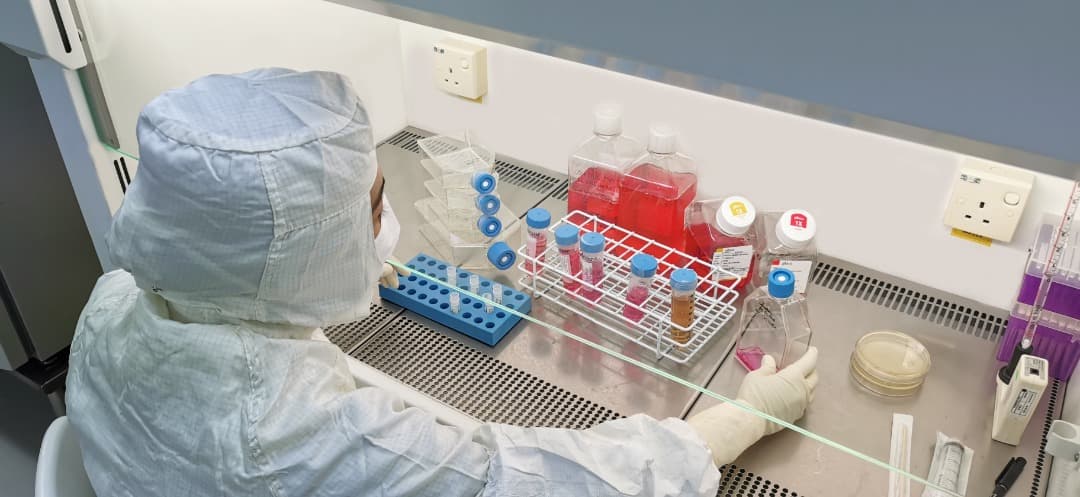 A gowned operator handling sample vials at a biosafety cabinet in a NiSCELL cleanroom, with culture media bottles and vial racks on the deck.