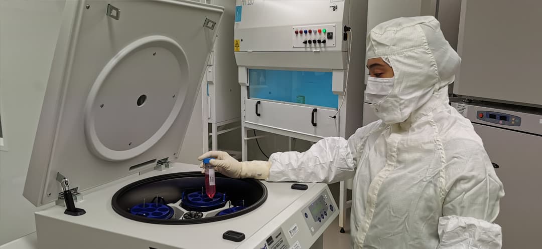 A gowned technician loading a sample into an open refrigerated centrifuge, one hand steadying the rotor lid.